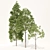 Populus Crowns: 3D Tree Models 3D model small image 2