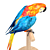 Feathered Beauty: Macaw 3D model small image 3