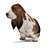 Realistic Basset Hound 3D Model 3D model small image 2