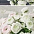 Ranunculus 2: High-Quality 3D Flower 3D model small image 2