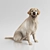 VRayFur Labrador Retriever Model 3D model small image 1