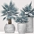 Majestic Bismarckia Palm Tree 3D model small image 1