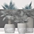 Majestic Bismarckia Palm Tree 3D model small image 3