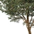 Architectural Tree Model - Perfect for Visualization 3D model small image 3