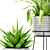 Tropical Fern and Agave Duo 3D model small image 2