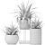 Tropical Fern and Agave Duo 3D model small image 3