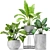 Botanical Bliss: 14 Potted Plants 3D model small image 1