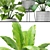 Botanical Bliss: 14 Potted Plants 3D model small image 2