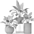 Botanical Bliss: 14 Potted Plants 3D model small image 3