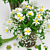 Charming Daisy Décor Set 3D model small image 3