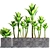 Potted Plant Collection - 16 Varieties 3D model small image 1