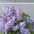 White Lilac 4: Archive Max 2011 3D model small image 2