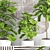 Graceful Ficus Lyrata Assortment 3D model small image 2
