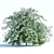  Blooming Spiraea Shrub 2 3D model small image 1