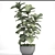 Lyrata Ficus: Elegant Indoor Plant 3D model small image 3