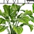 Potted Plant Collection - 25 Varieties 3D model small image 2
