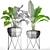 Potted Plant Collection - 25 Varieties 3D model small image 3