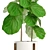 Lyrata Ficus Tree: Strikingly Beautiful 3D model small image 2