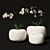 Elegant Porcelain Vase with White Orchid 3D model small image 1