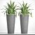 Asplenium Collection: A Garden Delight 3D model small image 2