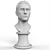 Elegant Bust Sculpture 3D model small image 1
