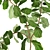 Luxury Ficus Lyrate: Decorative Indoor Tree 3D model small image 2