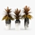 Tropical Paradise Dracaena Palm 3D model small image 1