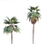 Tropical Majesty: Washingtonia Robusta Palms 3D model small image 2