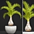 Hyophorbe Lagenicaulis: Exotic Palm Tree 3D model small image 1