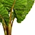 Exquisite Alocasia: Elegant and Rare 3D model small image 2