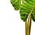 Tropical Elegance: Alocasia 3 3D model small image 2