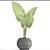 Tropical Elegance: Alocasia 3 3D model small image 3