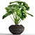 Tropical Beauty: Philodendron Plant 3D model small image 1