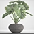 Tropical Beauty: Philodendron Plant 3D model small image 3