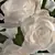 Elegant White Rose Bouquet 3D model small image 2