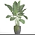 Tropical Delight: Banana Palm in Pot 3D model small image 3