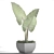 Exquisite Alocasia 4: A Botanical Beauty 3D model small image 3