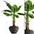 Tropical Delight: Banana Palm in Pot 3D model small image 1