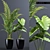Maximize Your Plant Collection 3D model small image 1