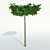 Large Leaf Lime Tree - Roof Form 3D model small image 1