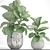 Lyrical Ficus: Majestic Greenery 3D model small image 3