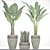 Tropical Plant Collection: Palm, Calathea, Sanservieria 3D model small image 3