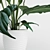 "Gorgeous Spathiphyllum: Blossom of Happiness 3D model small image 2