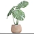 Tropical Dream Monstera: Exotic Beauty 3D model small image 3