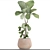 Lyrata Ficus: Stunning Indoor Plant 3D model small image 3