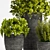 Greenery in Bloom - Set of 3 3D model small image 2