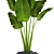 Tropical Delight: Banana Palm in Pot 3D model small image 2