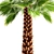 Yalta Fan Palm 3D model small image 2