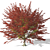 High-quality 3D Tree Model 3D model small image 1