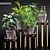 Leafy Greens Collection | 3D Plant Models 3D model small image 1